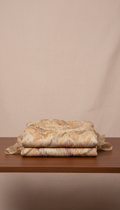 Champagne beige chiffon saree